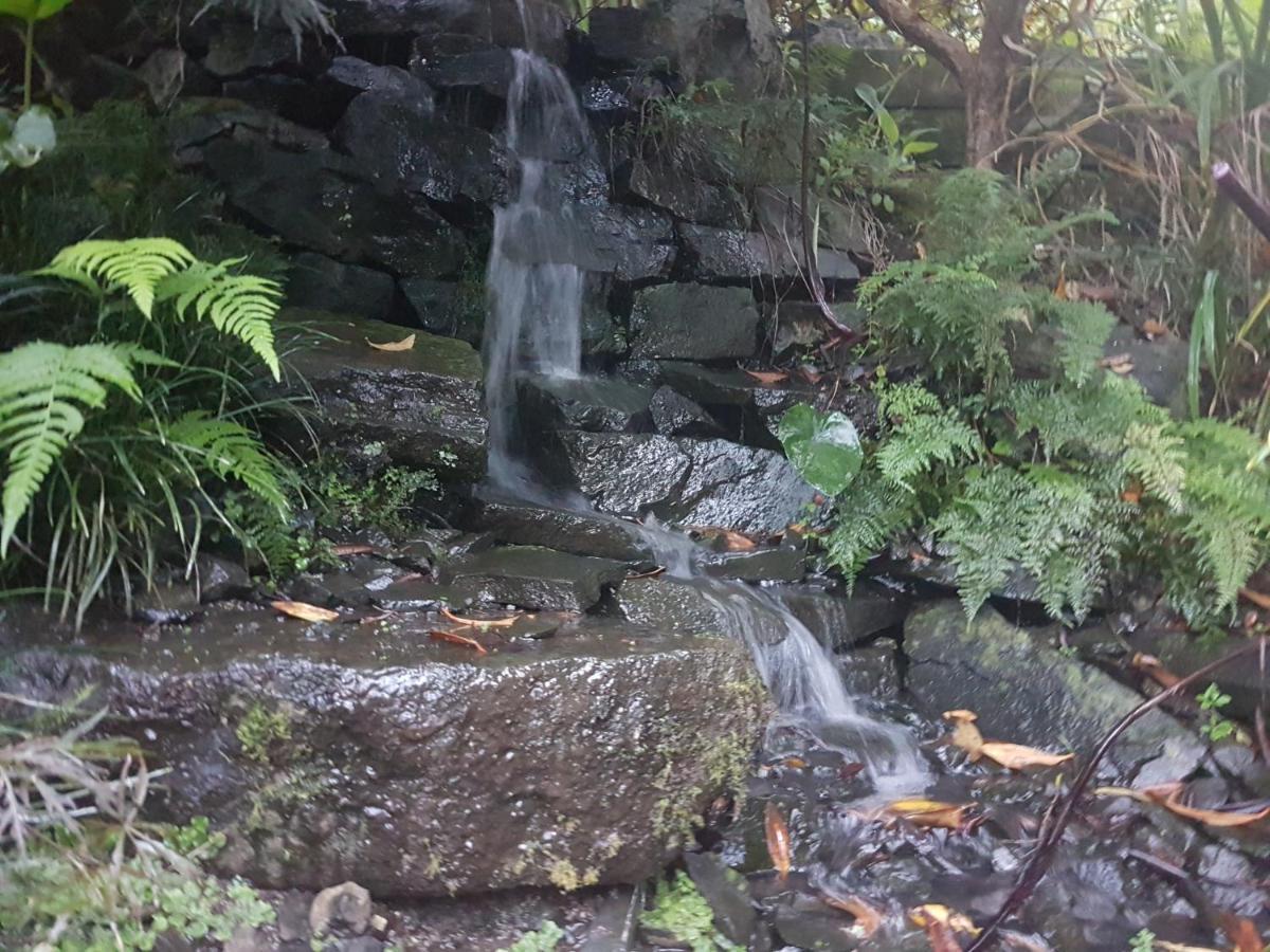Walton Streamside Country Manor Bed & Breakfast エクステリア 写真